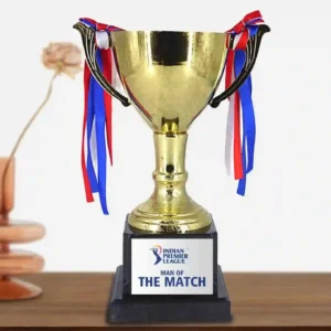 Premium Quality Metal Trophy for Professional Athletics (9.6 inch)